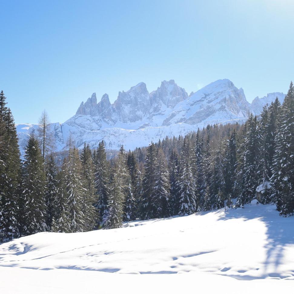 Rifugio Flora Alpina Hotel Passo San Pellegrino Bagian luar foto