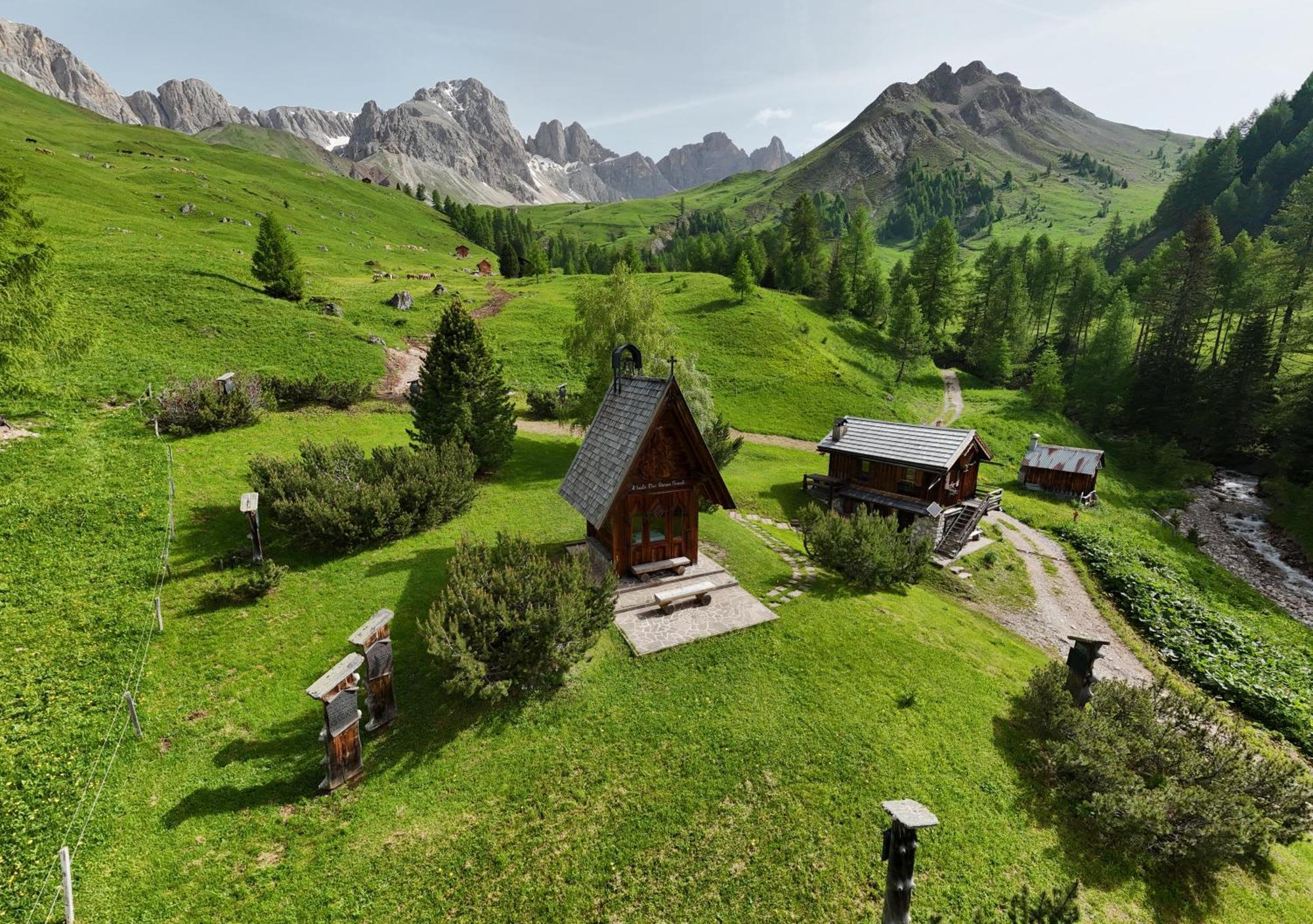 Rifugio Flora Alpina Hotel Passo San Pellegrino Bagian luar foto